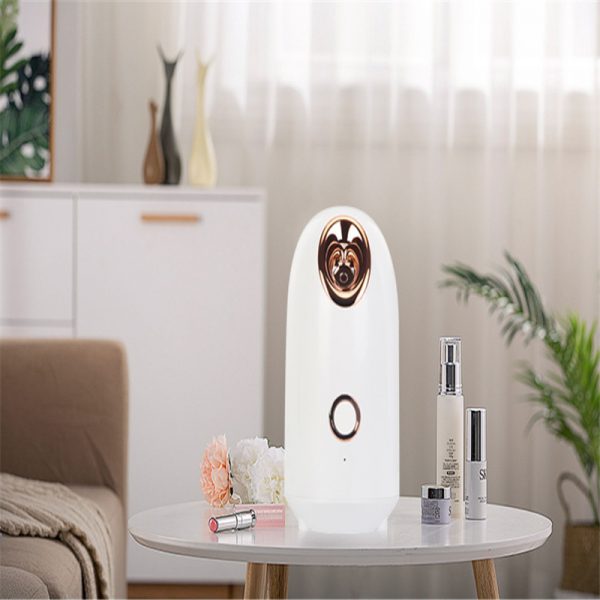Beauty Steamer - Image 3