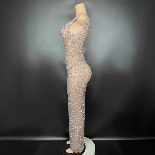 Elegant Niche Princess Gathering Banquet Dress for Socialites - Luxury Style