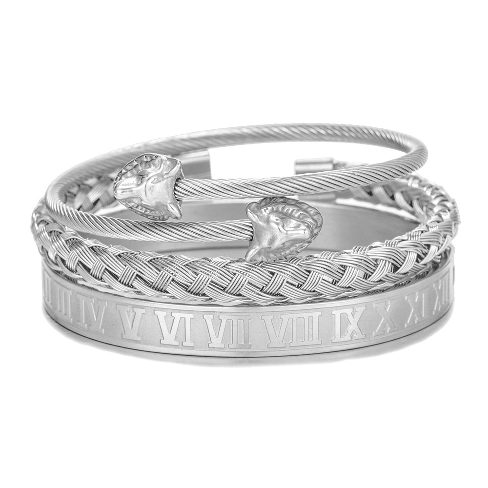 Punk Titanium Steel Bracelet - Creative Roman Style for Unique Personalities - Image 23