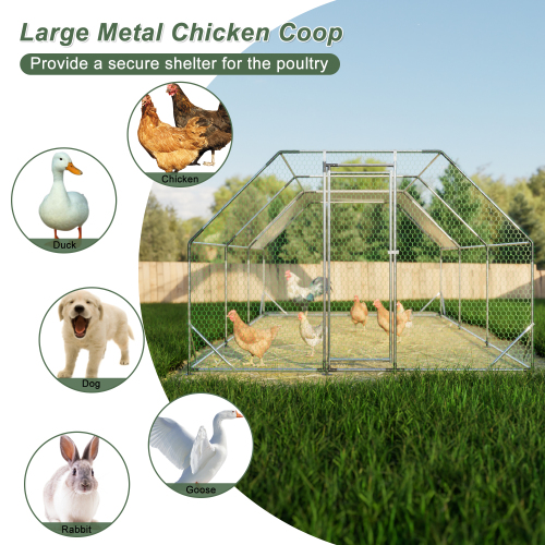 10 Ft. X 20 Ft. Galvanized Large Metal Walk-In Chicken Coop Cage | Durable Poultry Run & Hen House for Your Farm - Image 5