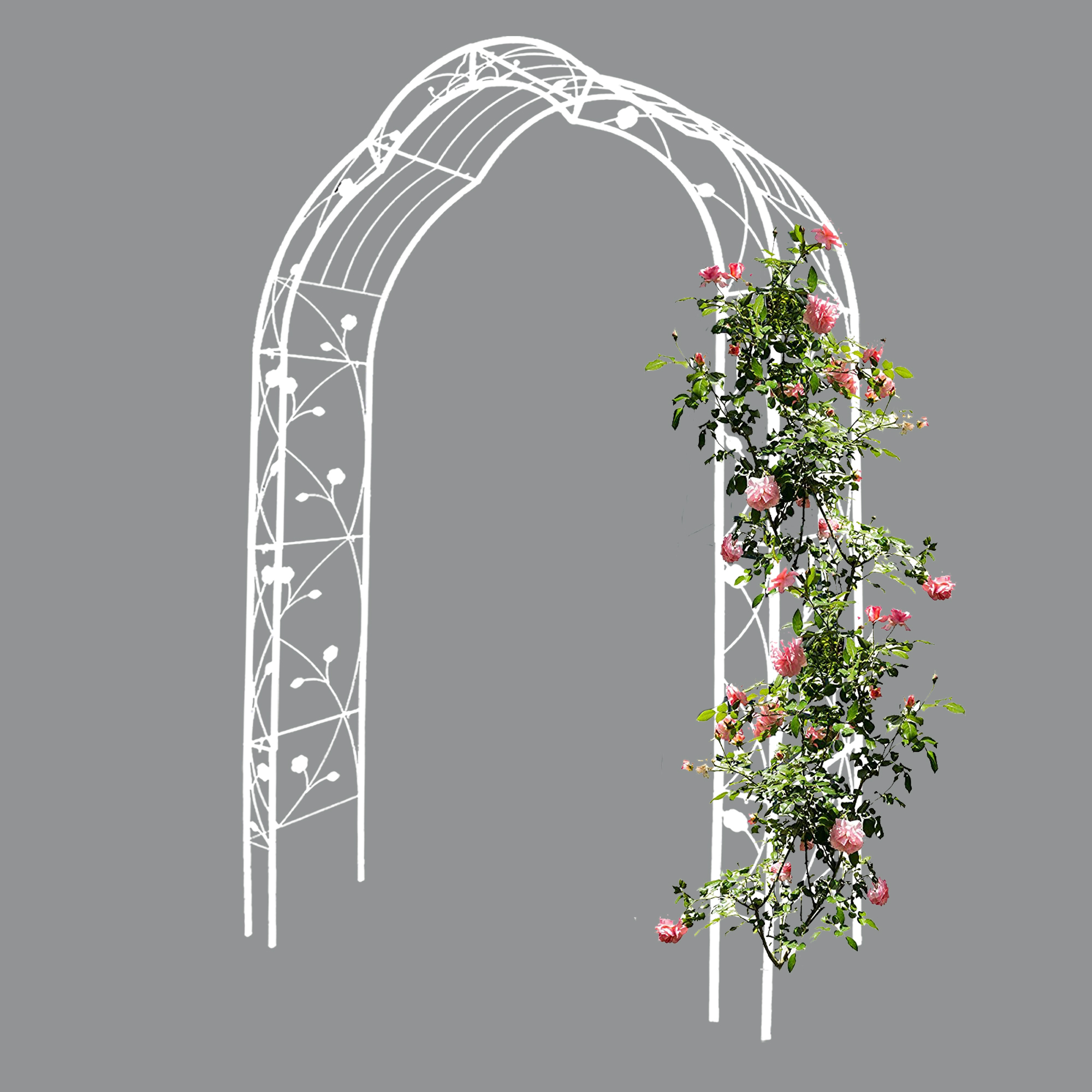 Cream White Metal Garden Arch for Climbing Plants, Weddings, and Events - Image 4