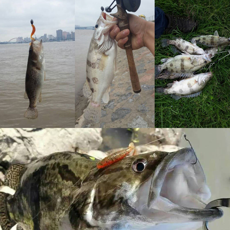 Capuchin Maggot Bait Lead Head Hook for Mandarin Fish - Versatile & Effective - Image 4