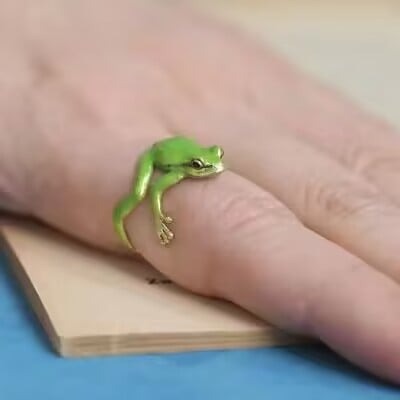 Charming Tree Frog Ear Clip & Adjustable Ring - Cute Fashion Jewelry - Image 9