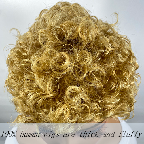 Curly Real Human Hair Wigs for Women - Ultra-Short Pixie Cut with Breathable Cap, Perfect for All Ethnicities & African Curls - Image 3