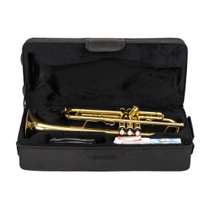 Drop B Tone Adjustable Trumpet Gloves Set in Elegant Golden Finish