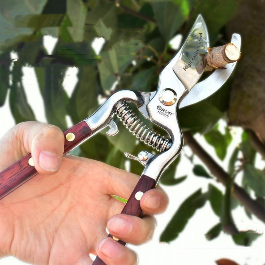 Effortless Portable Garden Scissors Tools for Easy Gardening Tasks - Image 2