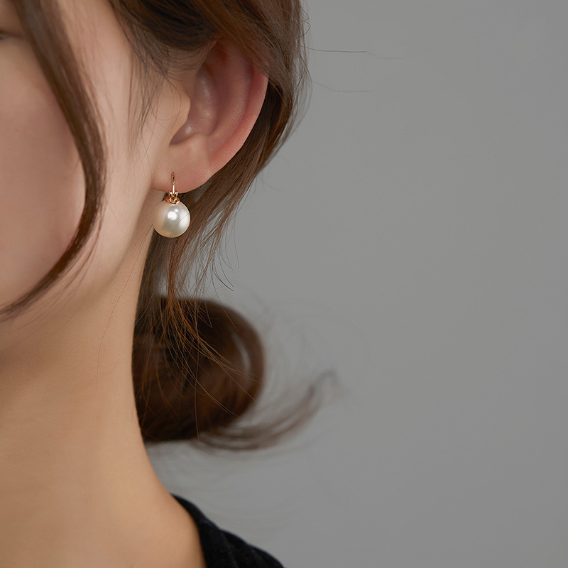 Elegant High-End Sterling Silver Earrings - French Net Red Ear Buckles - Image 9