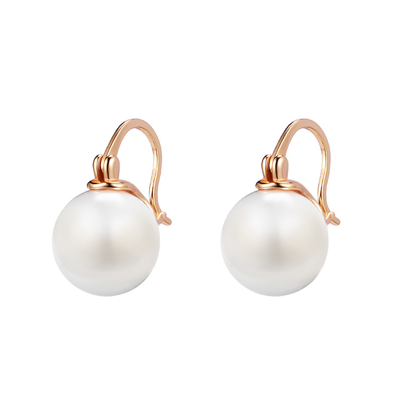 Elegant High-End Sterling Silver Earrings - French Net Red Ear Buckles - Image 10