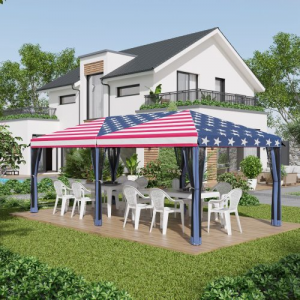 Outsunny 10 X 20 Heavy Duty Canopy Tent with Netting - Instant Sun Shelter for Outdoor Parties, Garden & Patio - Includes Carry Bag & American Flag