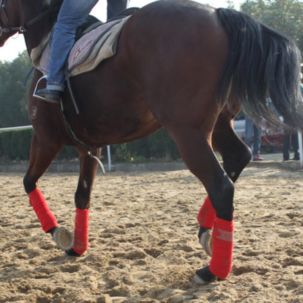 Horse Leg Straps & Bandage Wrap Set for Ultimate Leg Support - Image 2