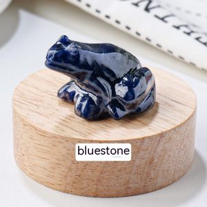 Specimen Popular Science Ornament - Engaging Children's Educational Gifts