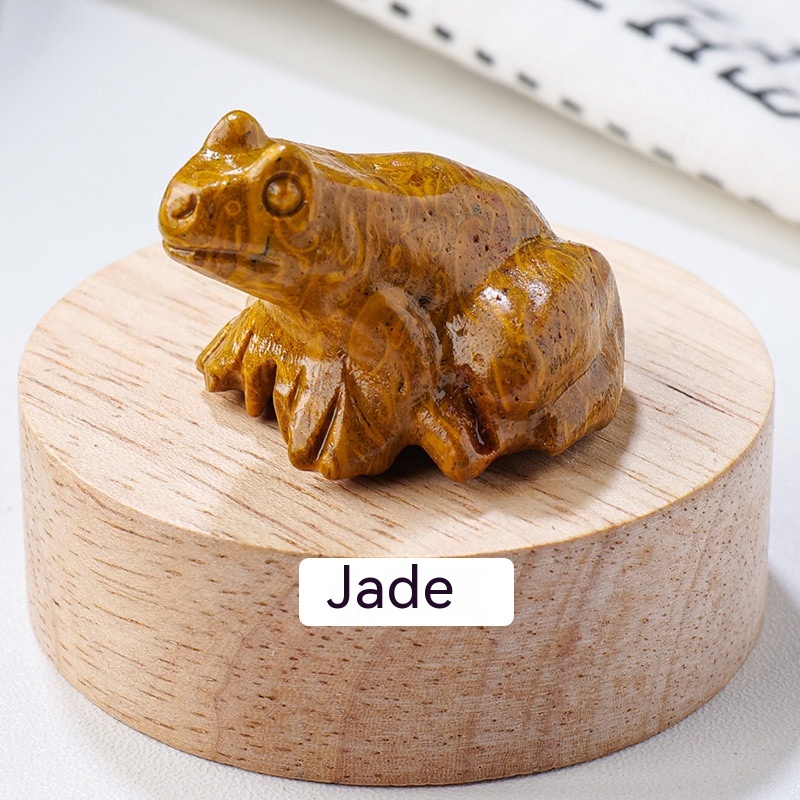 Specimen Popular Science Ornament - Engaging Children's Educational Gifts - Image 4