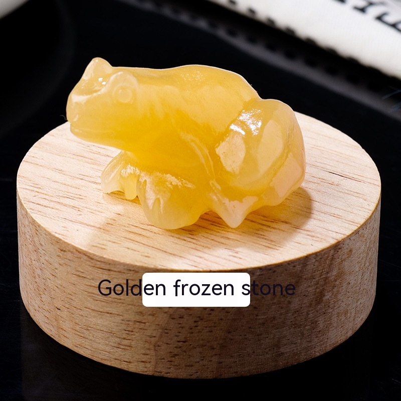 Specimen Popular Science Ornament - Engaging Children's Educational Gifts - Image 5