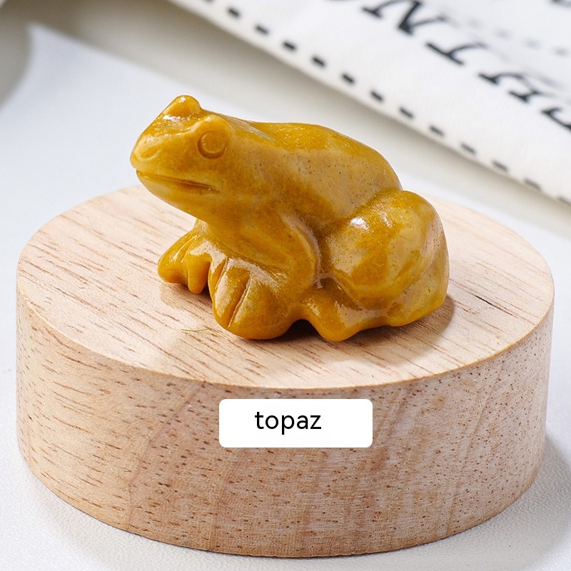 Specimen Popular Science Ornament - Engaging Children's Educational Gifts - Image 8