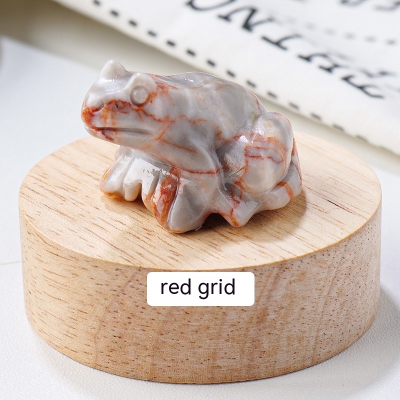 Specimen Popular Science Ornament - Engaging Children's Educational Gifts - Image 12