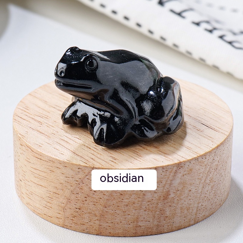 Specimen Popular Science Ornament - Engaging Children's Educational Gifts - Image 13