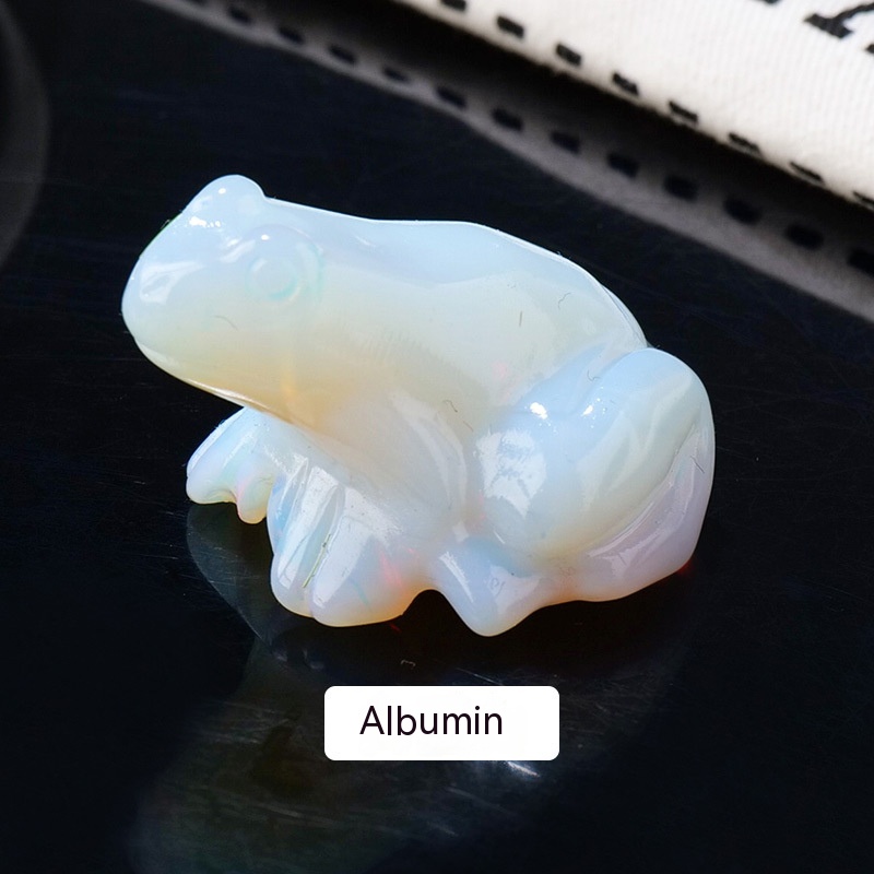 Specimen Popular Science Ornament - Engaging Children's Educational Gifts - Image 16