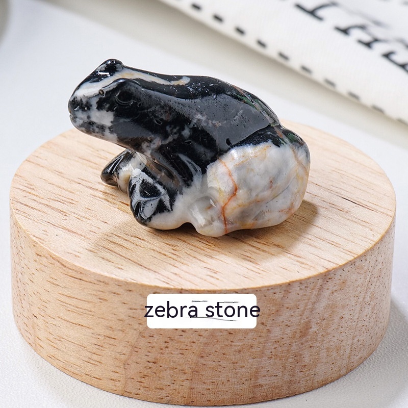 Specimen Popular Science Ornament - Engaging Children's Educational Gifts - Image 25