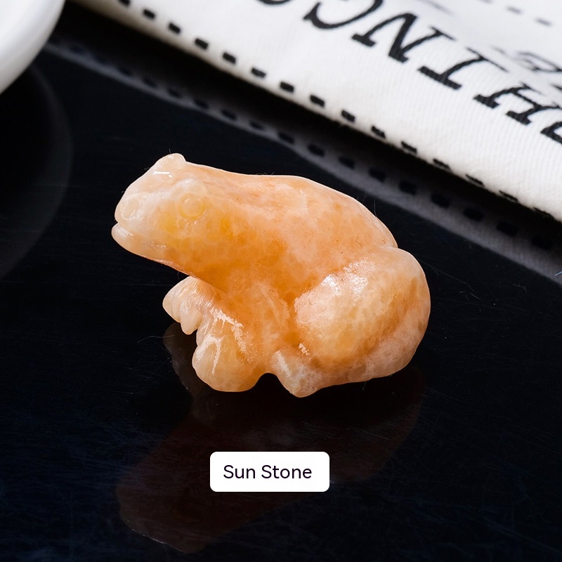 Specimen Popular Science Ornament - Engaging Children's Educational Gifts - Image 54