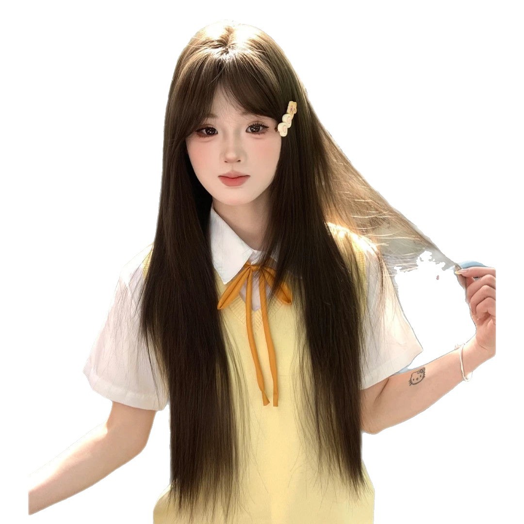 High-Level Full Repair Inner Angle Long Straight Full-Head Wig for Hair Restoration - Image 2
