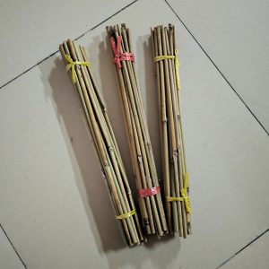 White Bamboo Gardening Support for Climbing Vines - Durable & Stylish