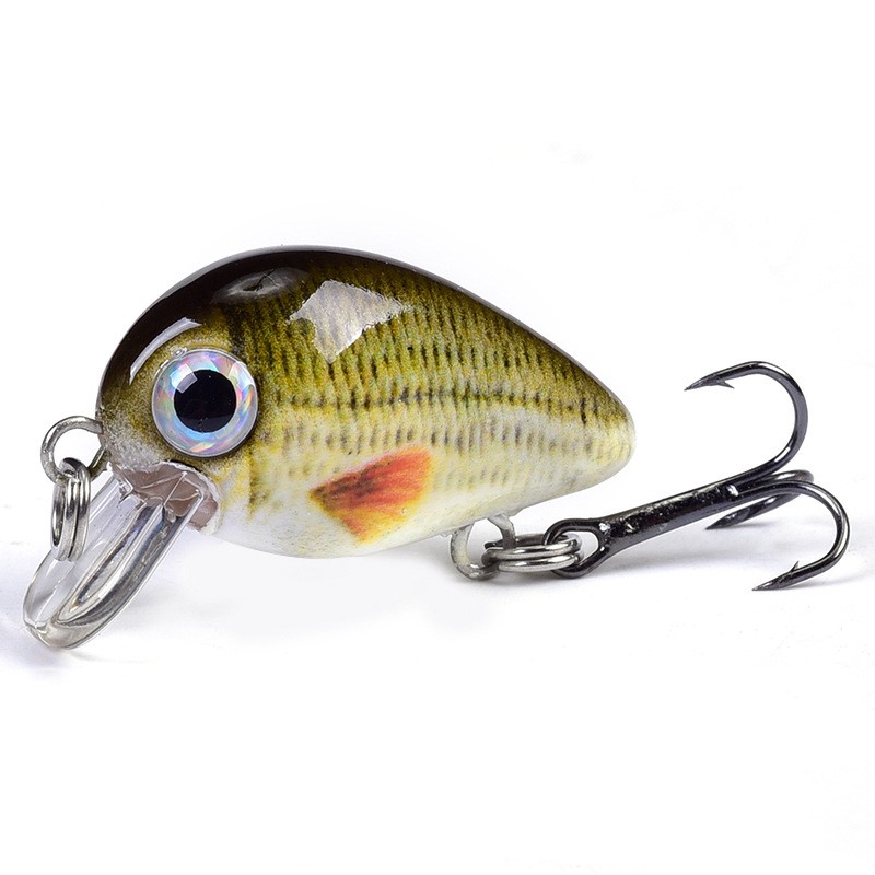Luya Tanshui Little Fat Bait Suit - Available in 5 Vibrant Colors - Image 3