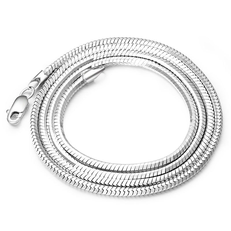 Sterling Silver Plated Platinum Necklace Chain for Men and Women - Jadoku Korean Fashion Clavicle Silver Chain for Couples - Image 2