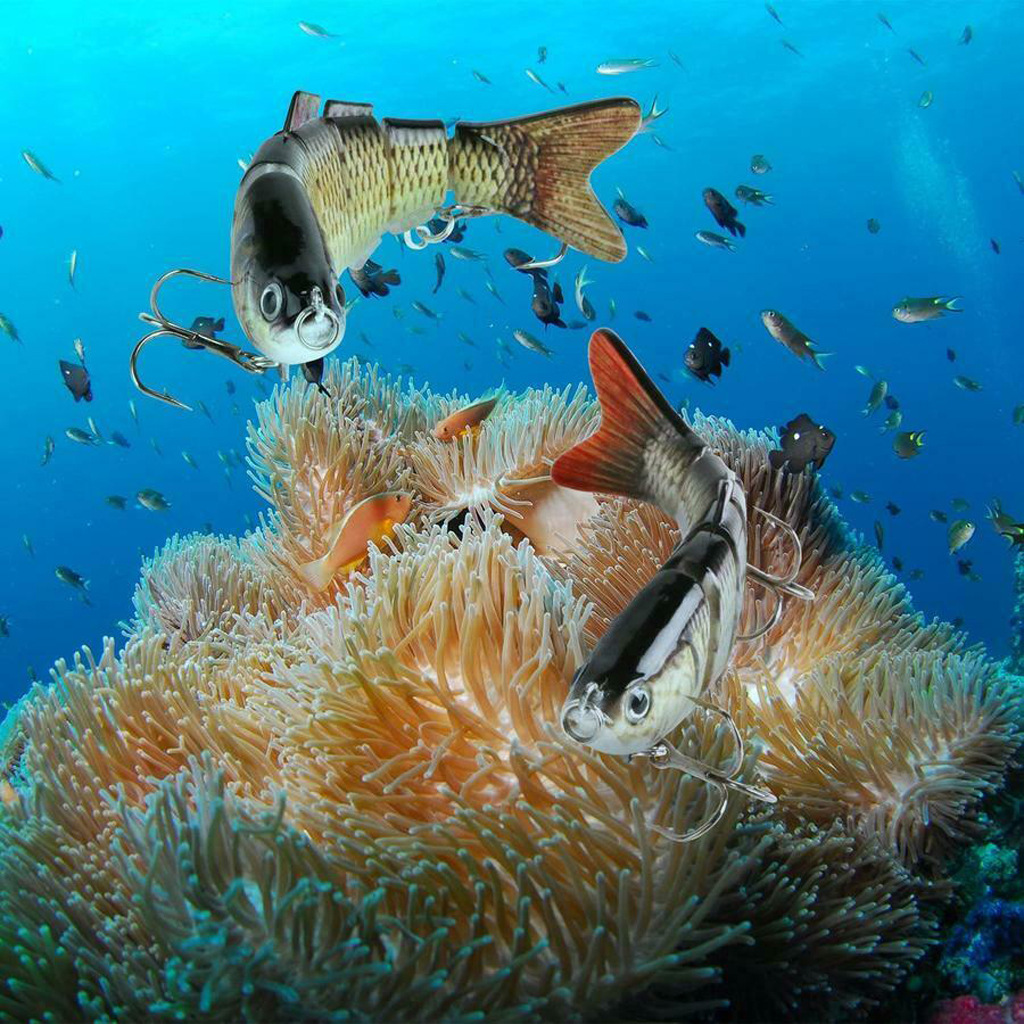 Bionic Bait Lure Set for Sea Fishing - Realistic Hard Simulation Baits - Image 4