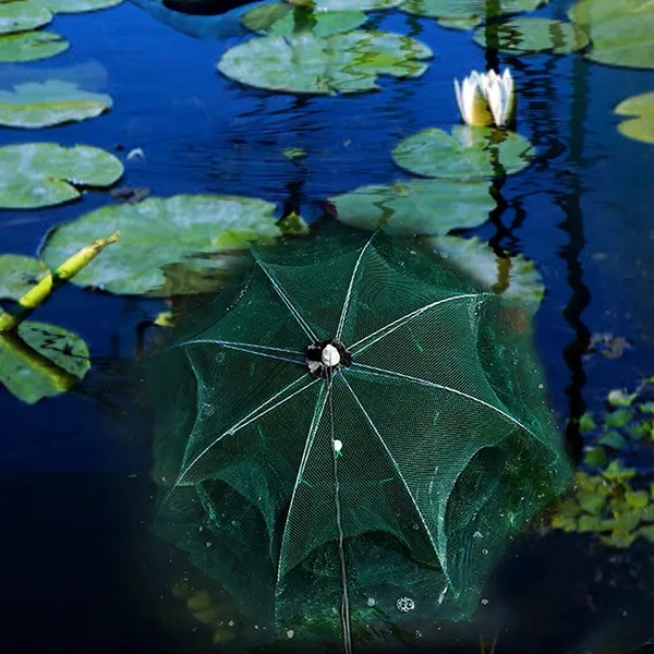 *Specifications and Highlights*: - Image 2