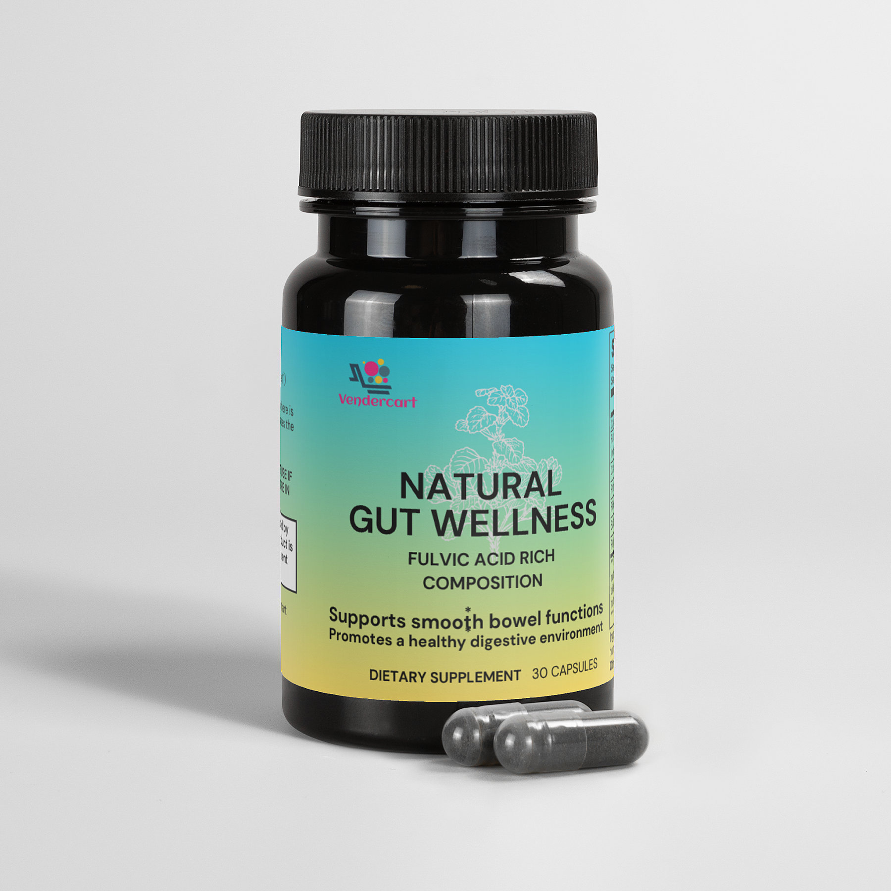 Premium Natural Gut Wellness Capsules for Digestive Health & Balance - Image 2